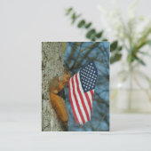 010510-4-APC一つの愛国リス ポストカード (スタンド正面)