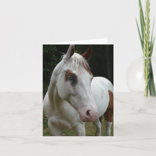 015イリュージョンカード カード (正面)