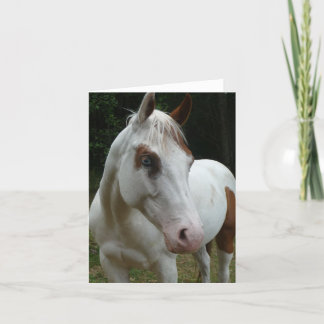 015イリュージョンカード カード