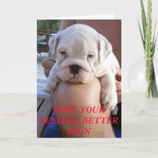 015、早く良感じくなってほしい カード (正面)