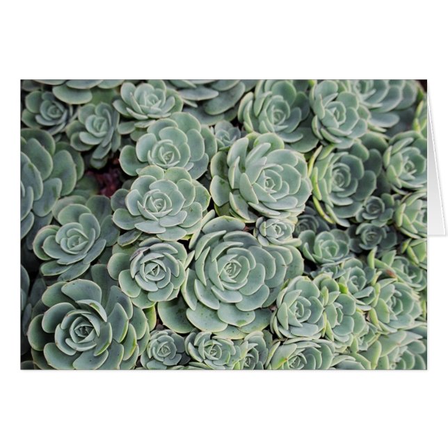 01760023 (正面横)