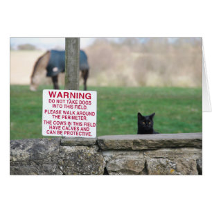 020409DogsFarm260