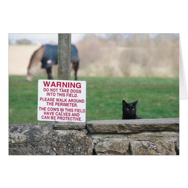 020409DogsFarm260 (正面横)