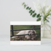 022_2，すべての犬は彼の日を持っている ポストカード (スタンド正面)