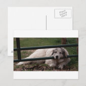 022_2，すべての犬は彼の日を持っている ポストカード (正面/裏面)