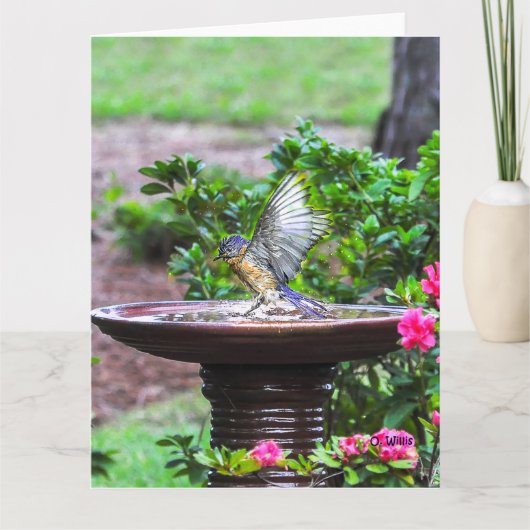 030ブルーバードのBath大きいカード8.5x11マット カード (正面)