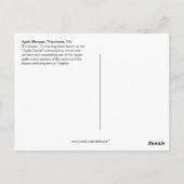 03 ヴァージニア州ウィンチェスターのリンゴの花 ポストカード (裏面)