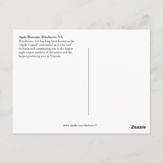 03 ヴァージニア州ウィンチェスターのリンゴの花 ポストカード (裏面)