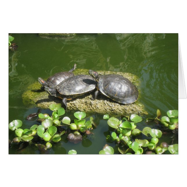 03-21-10 246 (正面横)