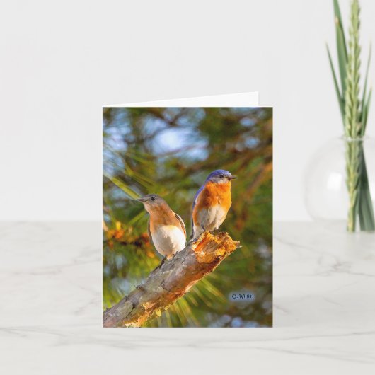 040ブルーバードの求愛のメッセージカード4.25x5.5のマット カード (正面)