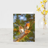 040ブルーバードの求愛のメッセージカード4.25x5.5のマット カード (黄色い花)