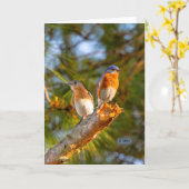 040ブルーバードの求愛カード5x7マット カード (黄色い花)