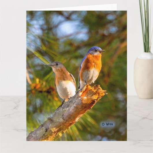 040ブルーバードの求愛大きいカード8.5x11マット カード (正面)