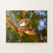 040人のブルーバードの求愛のパズル11x14の子供 ジグソーパズル (横)