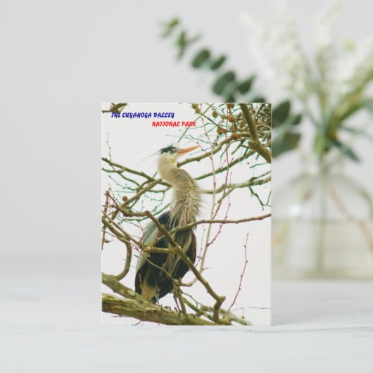 040111-145-APS ポストカード (スタンド正面)