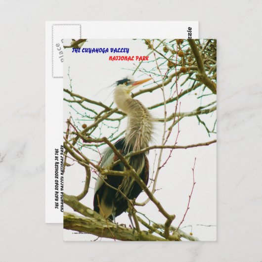 040111-145-APS ポストカード (正面/裏面)