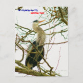 040111-145-APS ポストカード (正面)