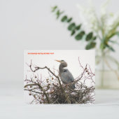 040111-70-APC ポストカード (スタンド正面)