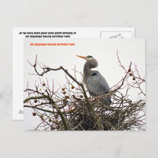 040111-70-APC ポストカード (正面/裏面)