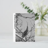 040510-9-APC ポストカード (スタンド正面)