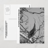 040510-9-APC ポストカード (正面/裏面)