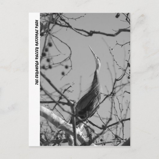 040510-9-APC ポストカード (正面)