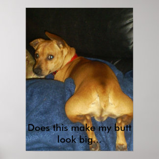 042，これは私のお尻を大きく見せるか… ポスター