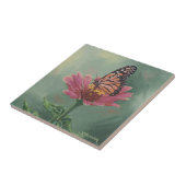 0465(昆虫)オオカバマダラ、モナーク蝶オン《植物》百日草 タイル (側面)