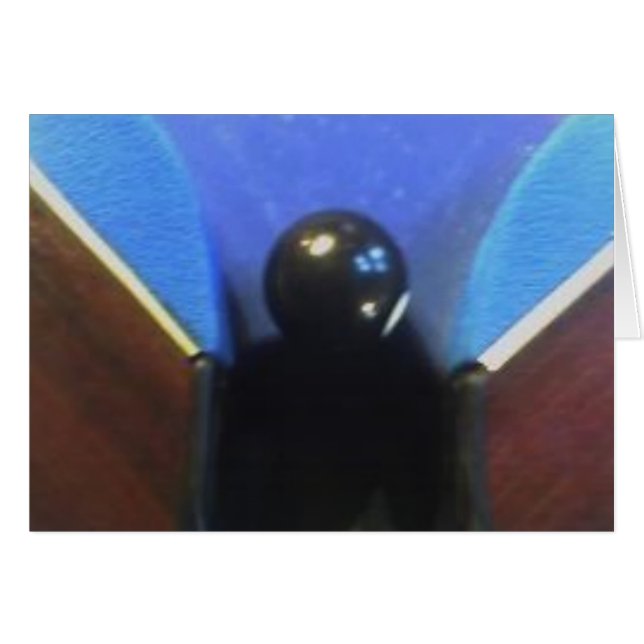 05-11-05_1538 (正面横)