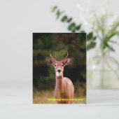 070306-34-APC ポストカード (スタンド正面)