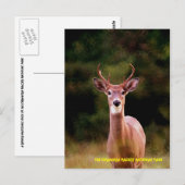 070306-34-APC ポストカード (正面/裏面)