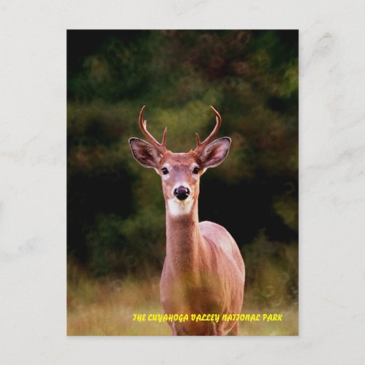 070306-34-APC ポストカード (正面)