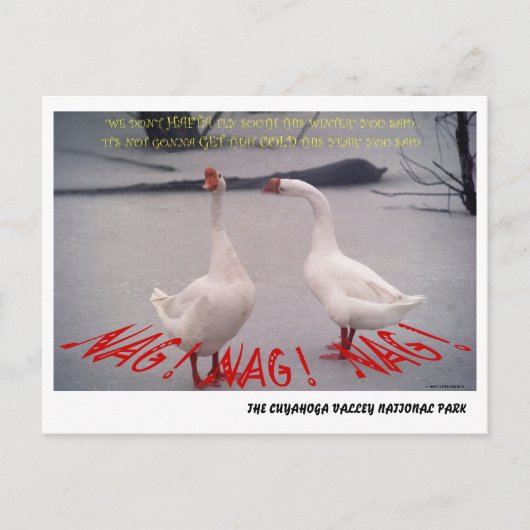 072506-10-APC NAG、NAG、NAG ポストカード (正面)