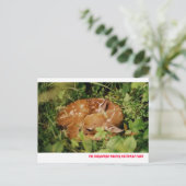 080806-17-APC ポストカード (スタンド正面)