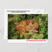 080806-17-APC ポストカード (正面/裏面)