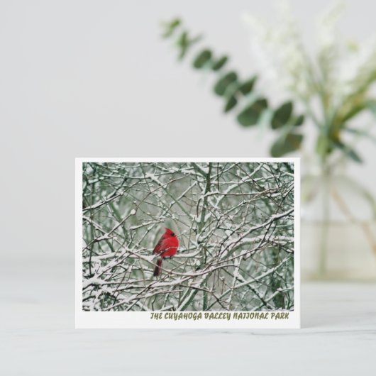 080806-25-APC ポストカード (スタンド正面)