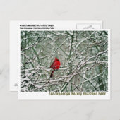 080806-25-APC ポストカード (正面/裏面)