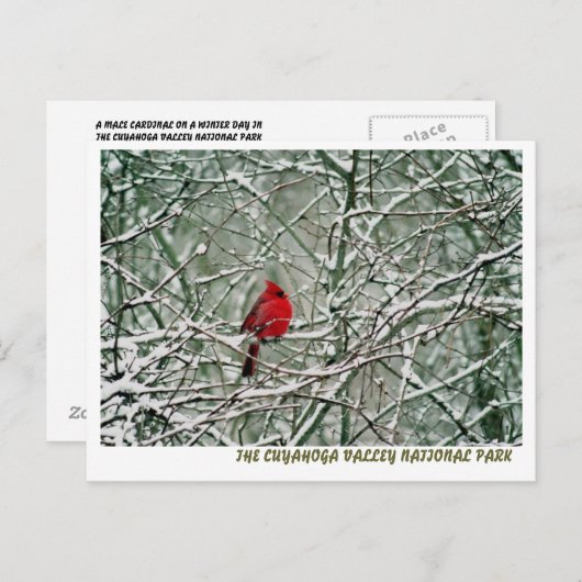 080806-25-APC ポストカード (正面/裏面)