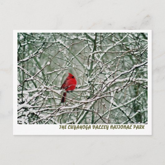 080806-25-APC ポストカード (正面)