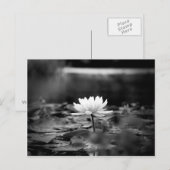 085シリーズ1 ポストカード (正面/裏面)