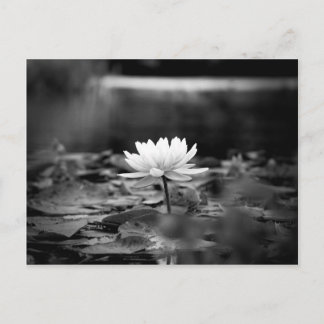 085シリーズ1 ポストカード