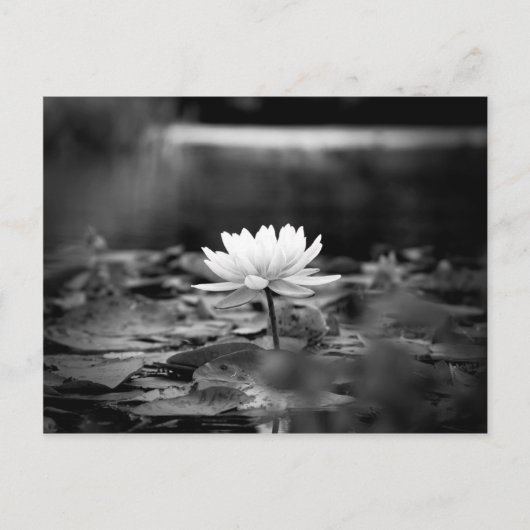 085シリーズ1 ポストカード (正面)