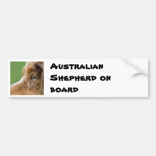 08-04-12-114, Australian Shepherd on board バンパーステッカー (正面)