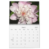 0 2013かわいらし牡丹 カレンダー (3月 2027)