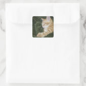 0 2 スクエアシール (バッグ)