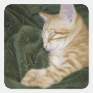 0 2 スクエアシール