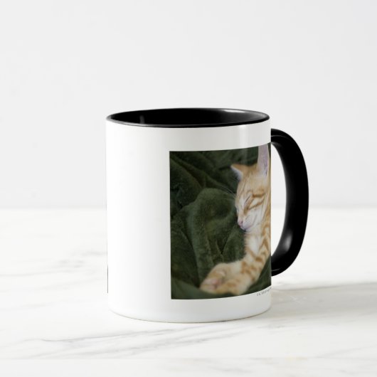 0 2 マグカップ (正面右)