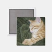 0 2 マグネット (正面/裏面)