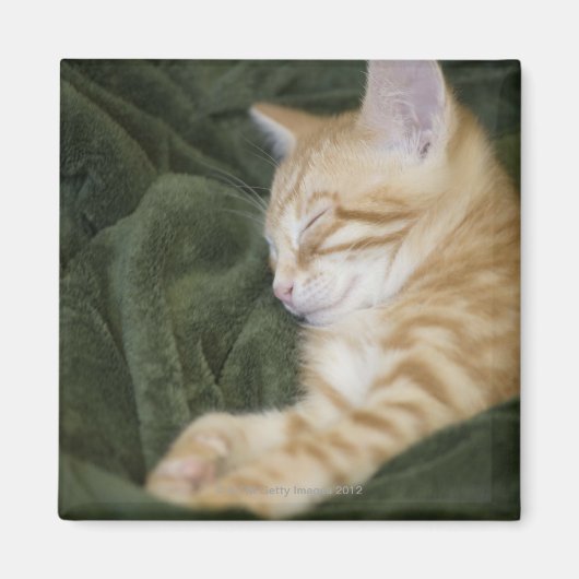 0 2 マグネット (正面)