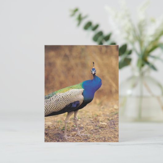 0 3 ポストカード (スタンド正面)